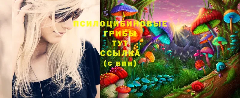 как найти наркотики  Зима  Галлюциногенные грибы MAGIC MUSHROOMS 